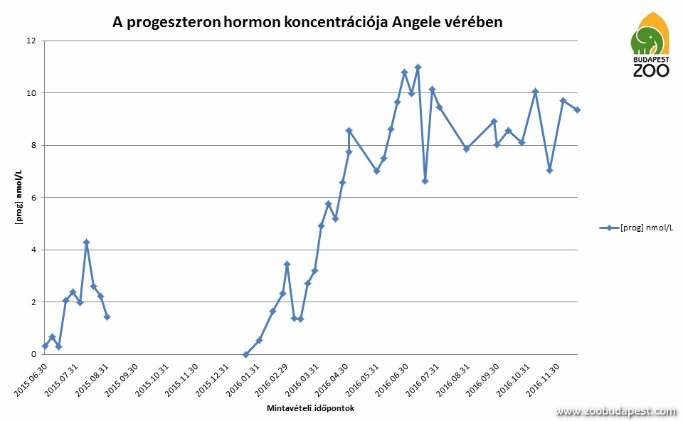 The concentration of progesterone hormone in Angele’s blood