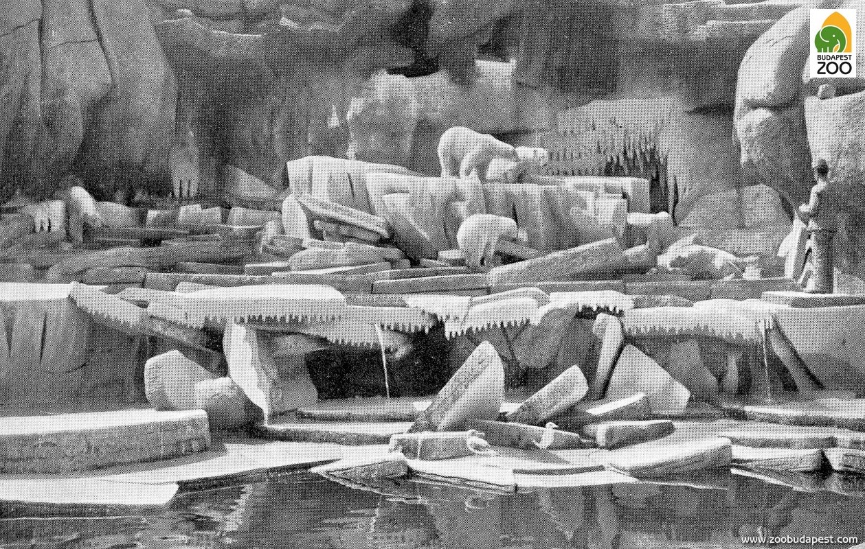 Jegesmedvéink 1912-ben 
