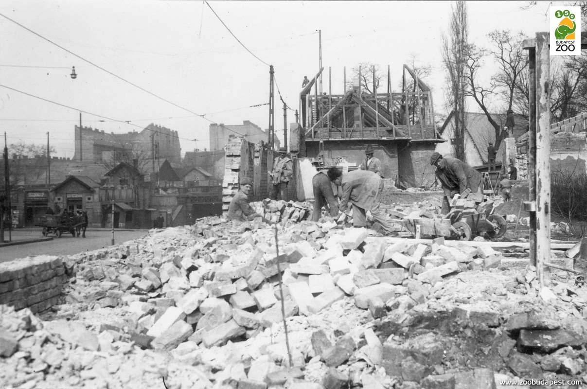 A Dózsa György úti kerítés áthelyezése 1951-ben 