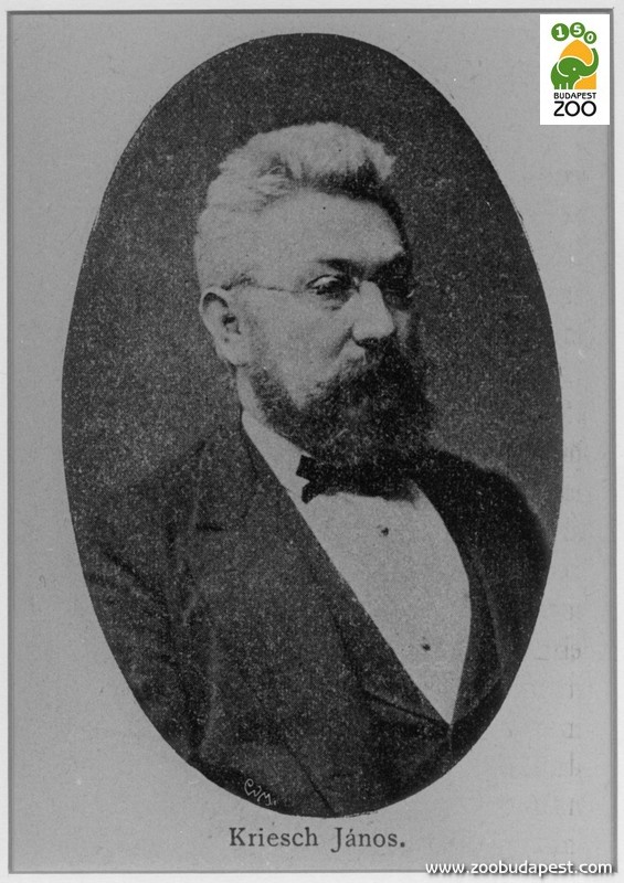 Kriesch János (1834-1888)