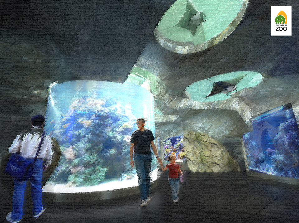 A Pannon-tenger akvárium egyik korai látványterve
