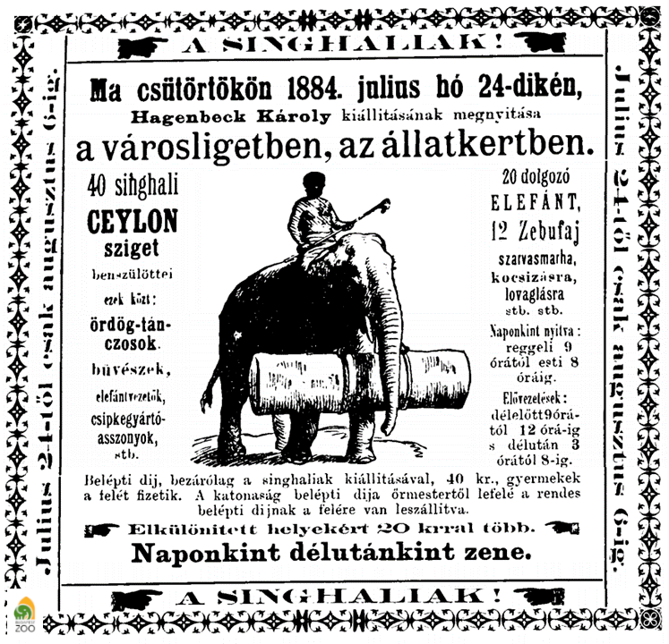 01 - Az Állatkertben 1884-ben vendégszereplő néprajzi bemutató plakátja. Húsz dolgozó elefántot is hoztak magukkal