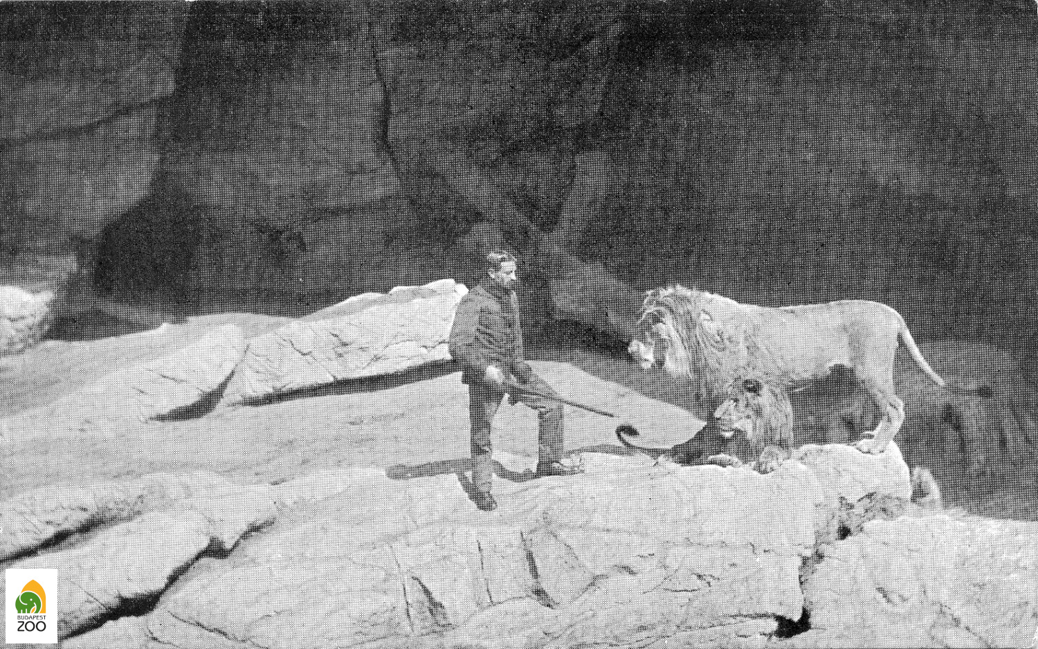 05 - Celesto Guglielmani, az oroszlánok olasz származású híres gondozója egyik kedvencével. A kép az 1910-es években készülhetett 