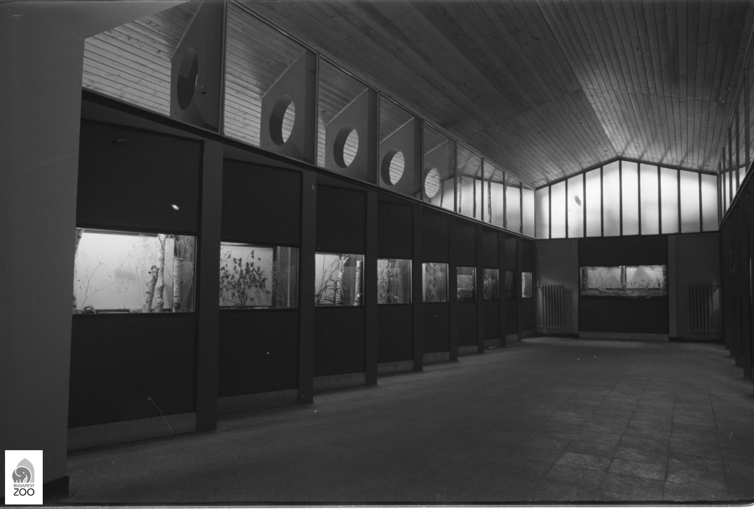 07 – A Vivárium nézőterének nagycsarnoka, ahol a trópusi és szubtrópusi fajok inszektáriumai kaptak helyet (1974). Kapocsy György felvétele   