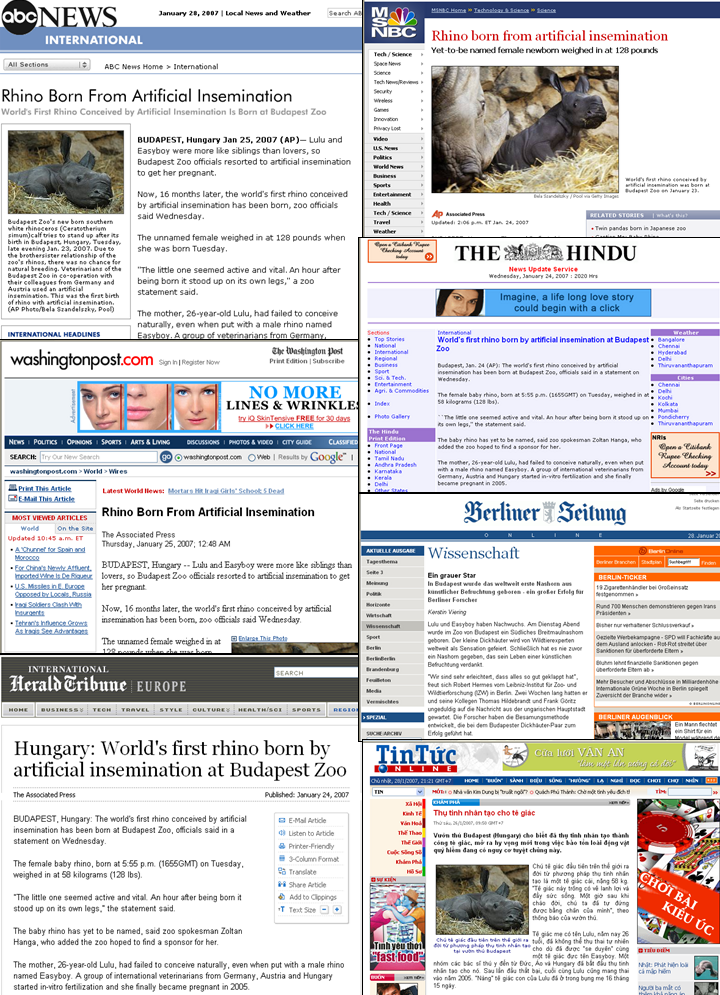 2007 januárjának utolsó napjaiban az USA-tól Indiáig, Németországtól Vietnámig vezető hír volt a világelső budapesti "lombik orrszarvú" megszületése