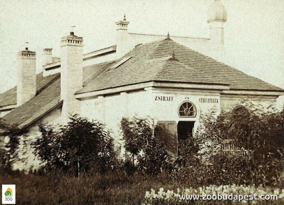 Az Állatkert első, 1868-ban épült Zsiráfháza, amelyet Lohr Antal tervezett