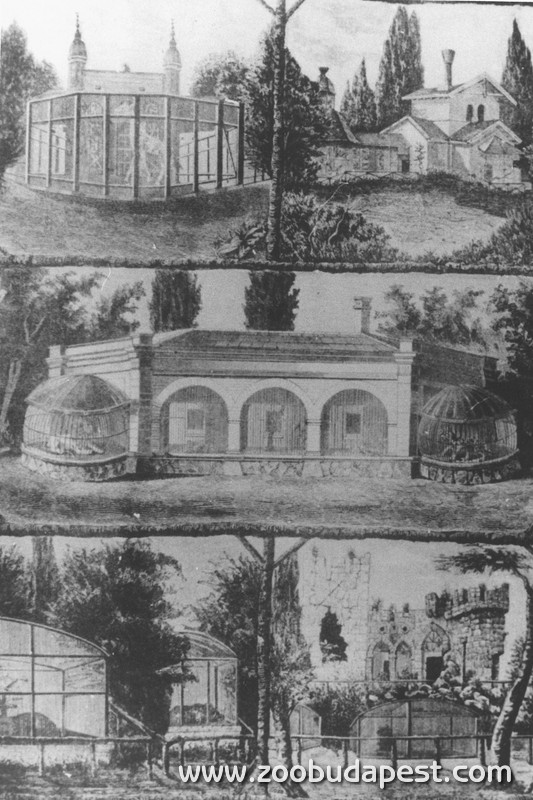 Az Állatkert néhány épülete a 19. és a 20. század fordulóján