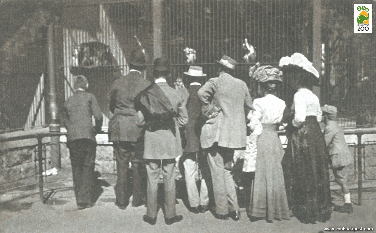 Látogatók a Majomháznál az 1910-es években