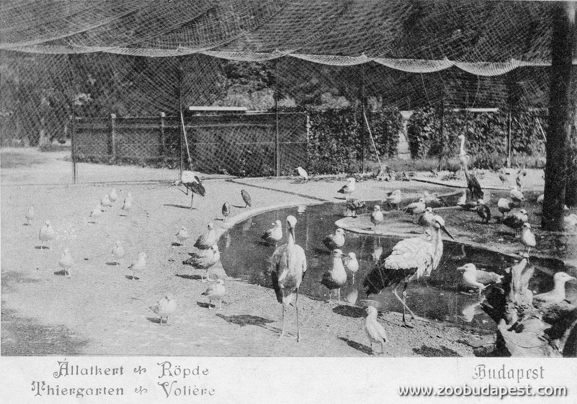 Állatkerti madárröpde a XIX. század utolsó éveiben. Az egzotikus nagyemlősökből egyre kevesebb volt, a hiányzó nagyvadakat kisebb madarakkal pótolták 