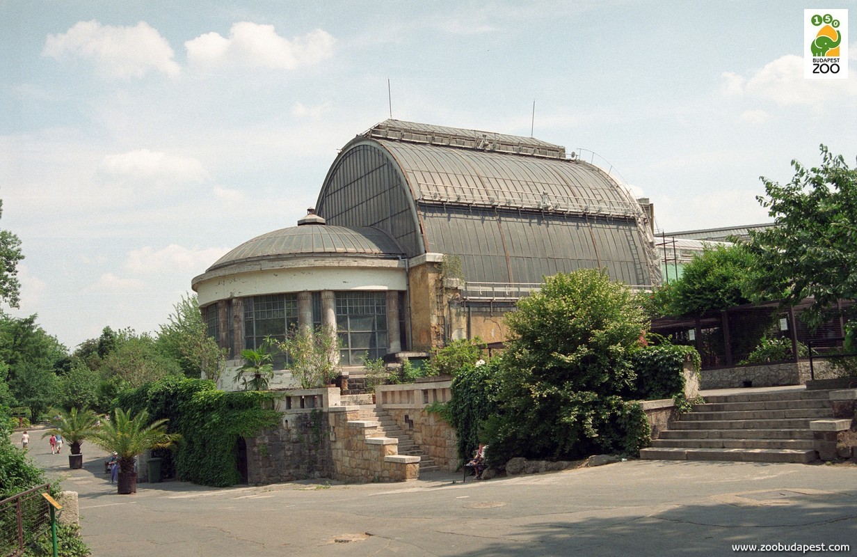 A Pálmaház látképe az 1990-es években, még a felújítás előtt