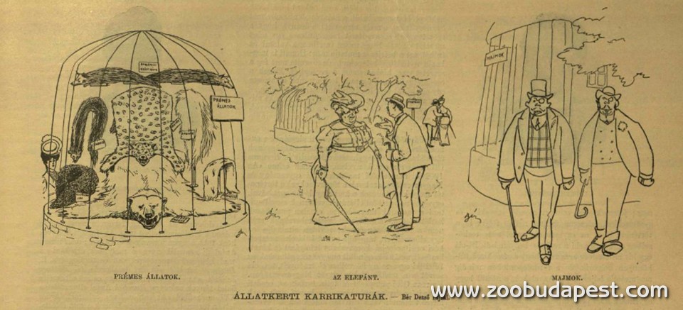 Az Állatkert akkori szegényes állatállományán élcelődő karikatúrák 1907-ből