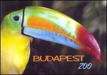 Budapest Zoo - állatkerti útmutató
