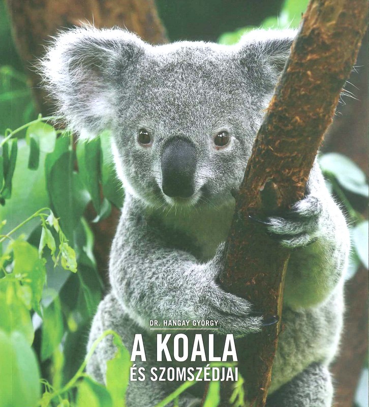 A Koala és szomszédjai