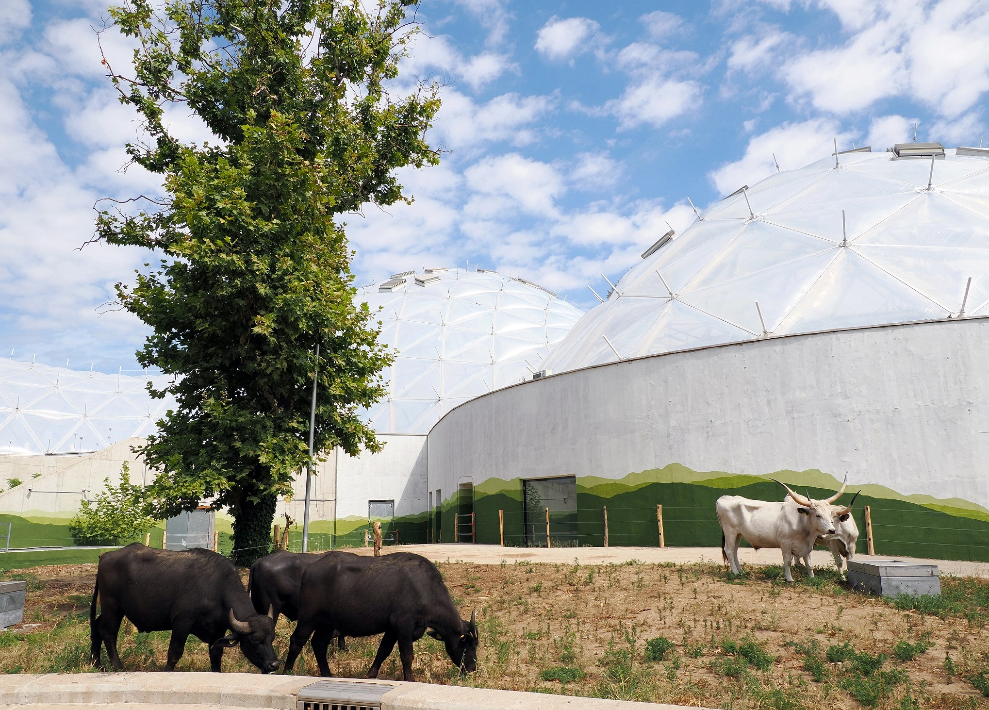 Biodome Enclosures