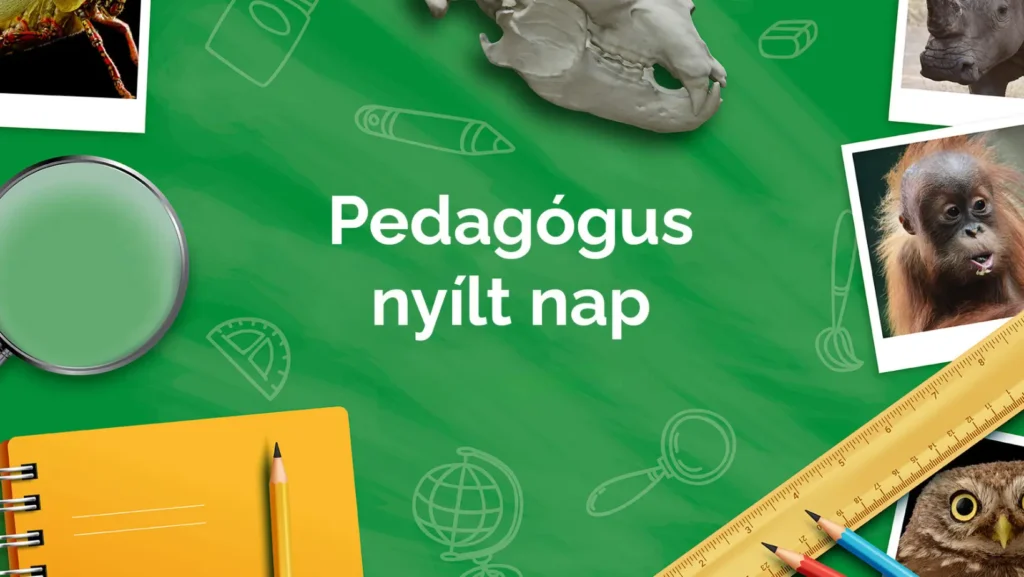 Pedagógus Nyílt Nap