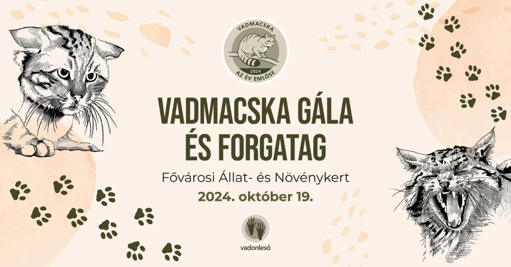 Vadmacska Gála és Forgatag