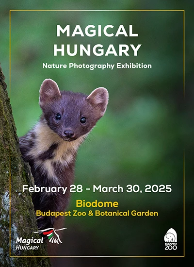 Magical Hungary Nature Photography Exhibition