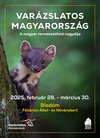 Varázslatos Magyarország 2025