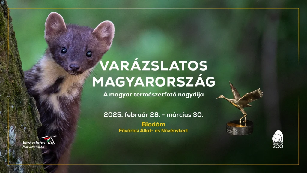 Varázslatos Magyarország 2025