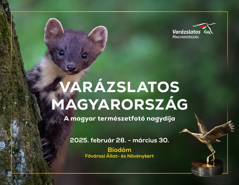 Varázslatos Magyarország 2025