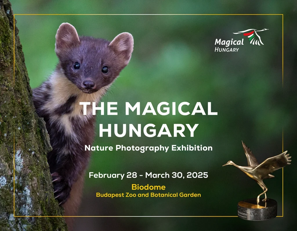 Magical Hungary Nature Photography Exhibition