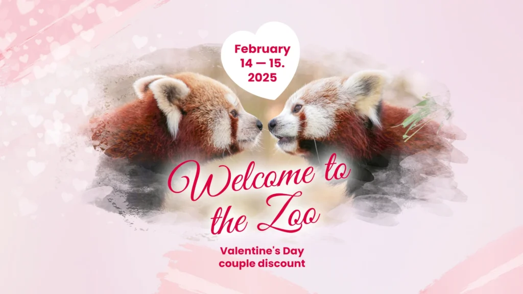 Valentine's Day couple discount