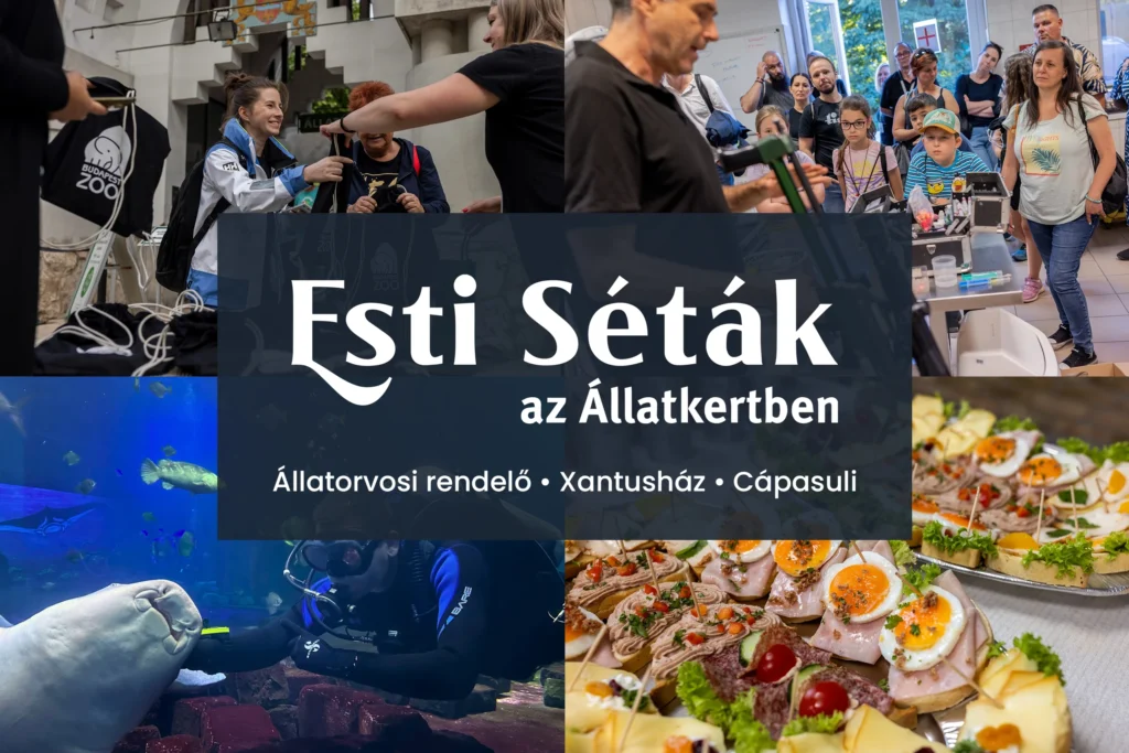 Esti Séták az Állatkertben - 2025. május 29.