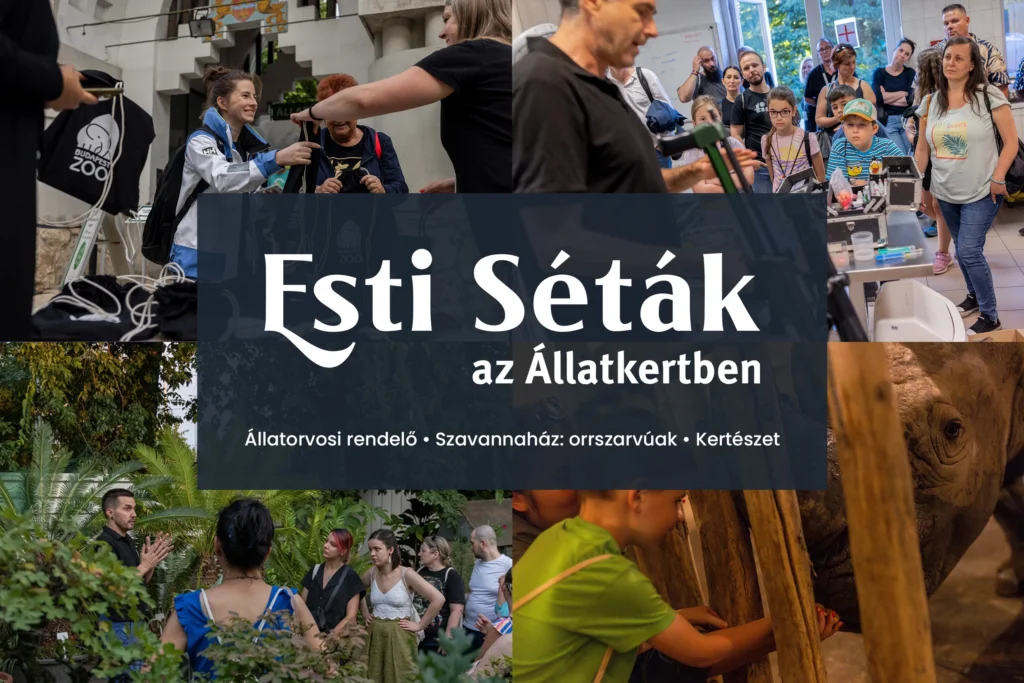 Esti Séták az Állatkertben - 2025. július 24.