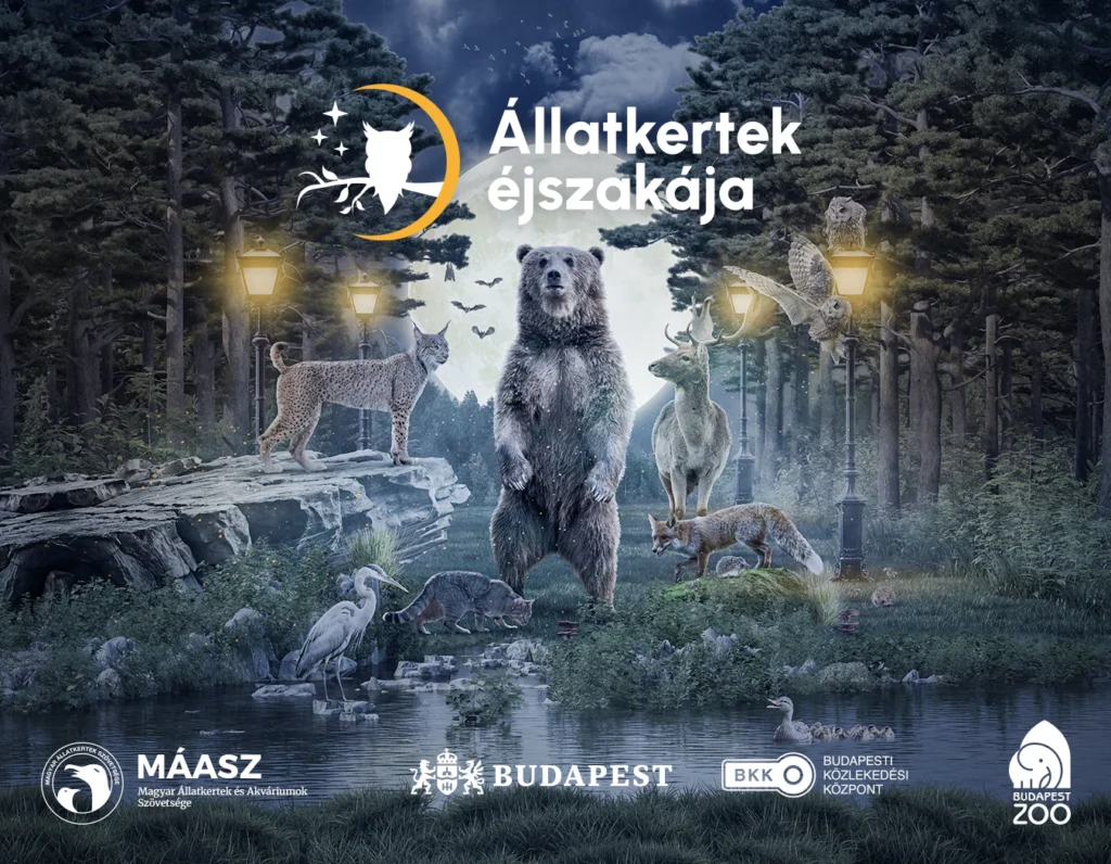 Állatkertek éjszakája 2025