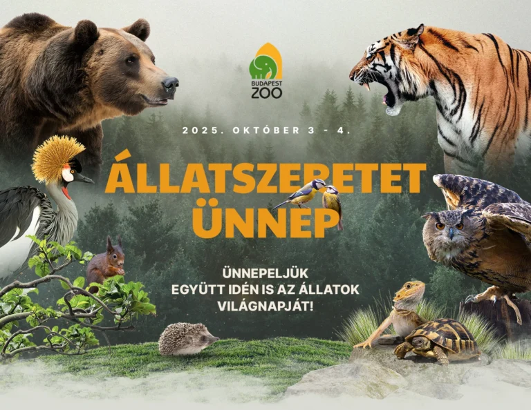 Állatszeretet Ünnep 2025