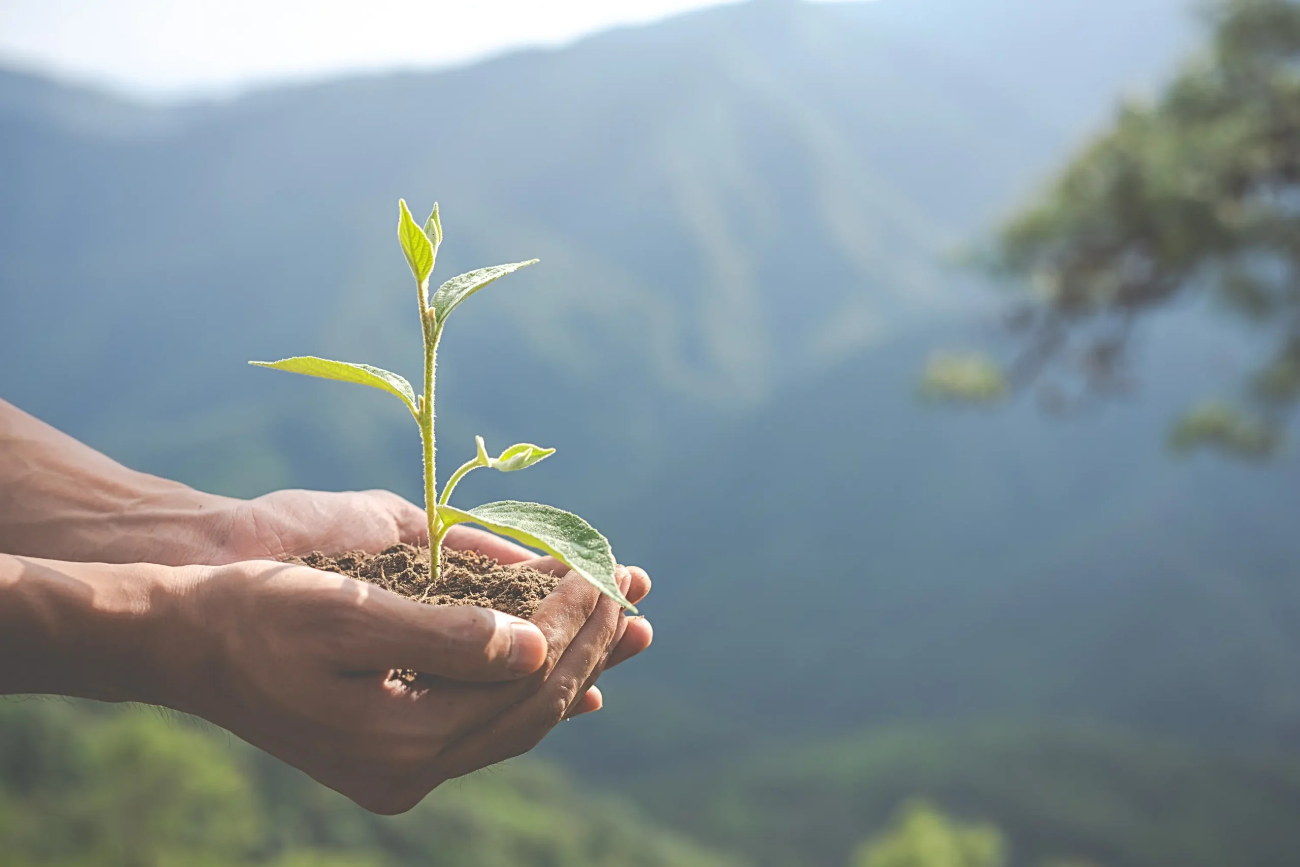 Let’s work together to have a positive impact on nature