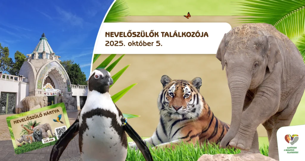 Nevelőszülők napja