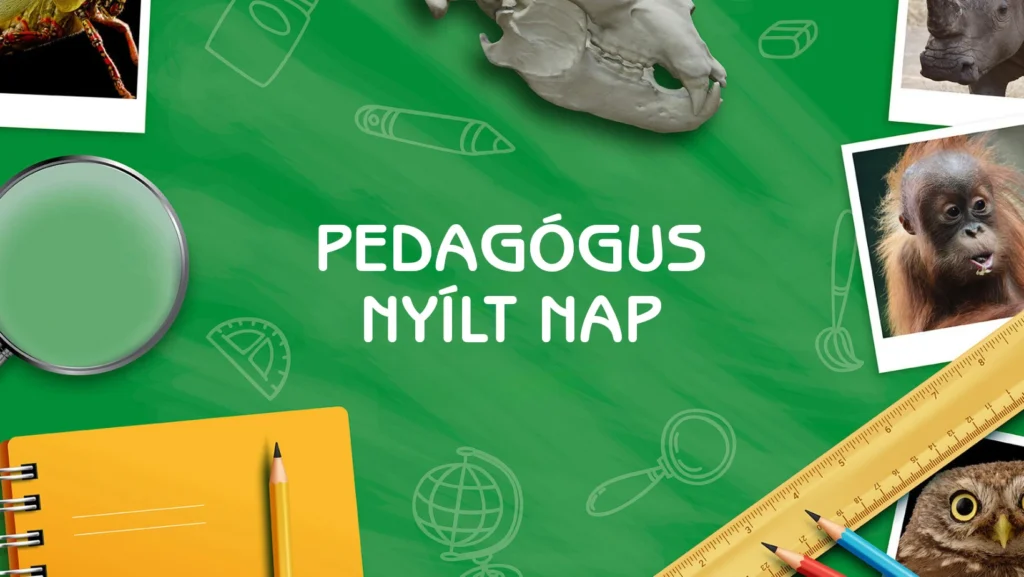 Pedagógus nyílt nap 2025 - október