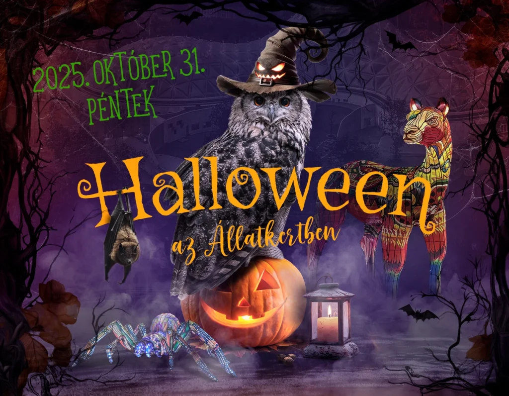 Halloween az Állatkertben