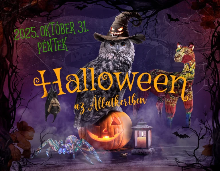 Halloween az Állatkertben