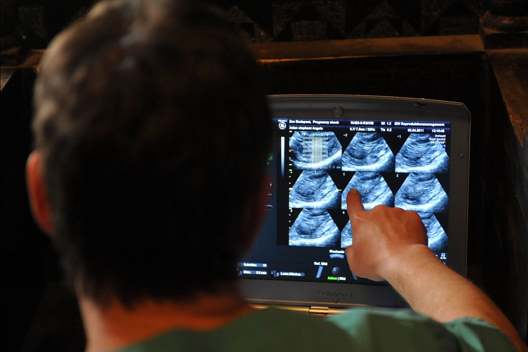 A magyar tudomány ünnepe