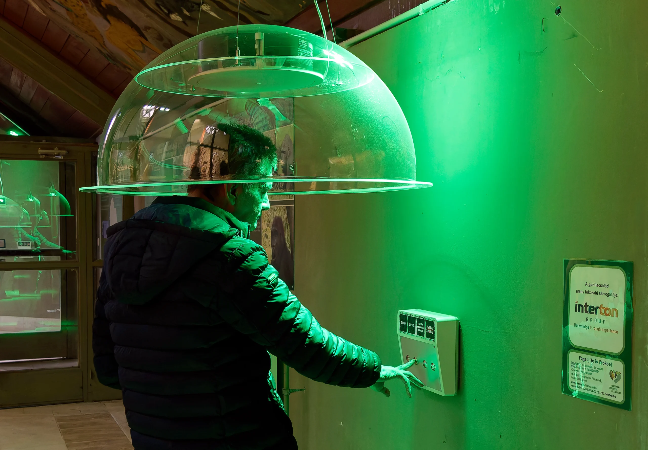 Fejlesztések a emberszabásúaknál