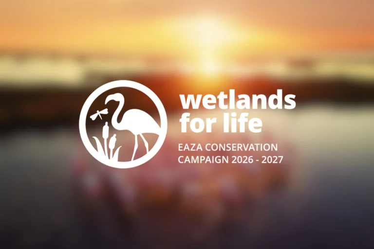EAZA - Wetlands for Life