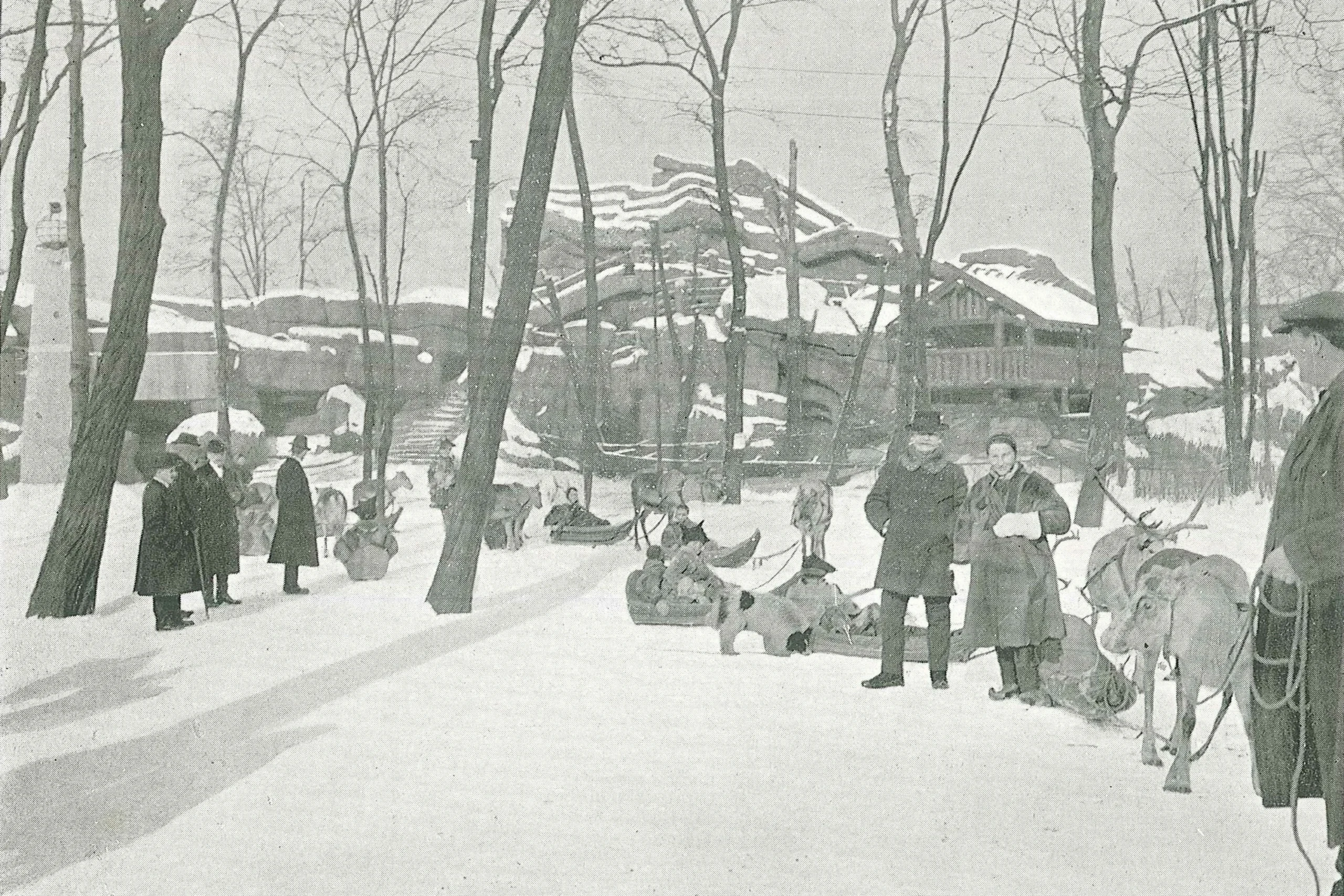 Régi telek az Állatkertben