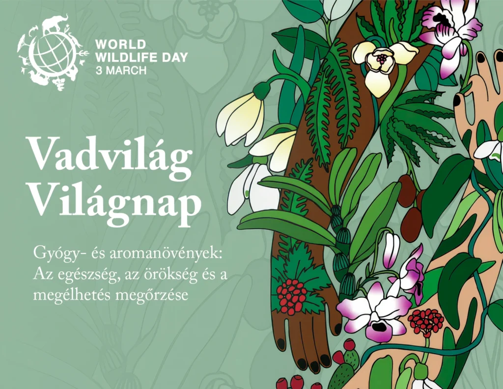 Vadvilág Világnap 2026