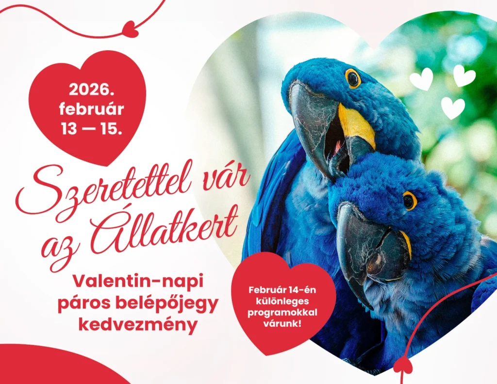 Valentin-napi páros belépőjegy kedvezmény