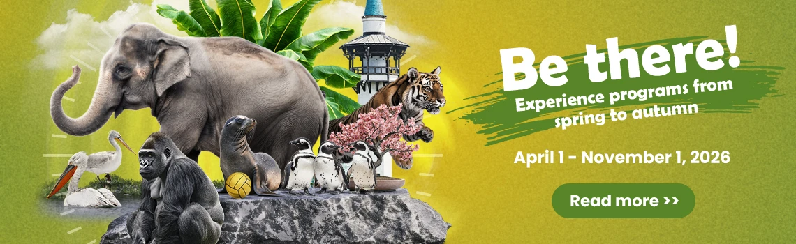 Be there! Experience programs at the Zoo