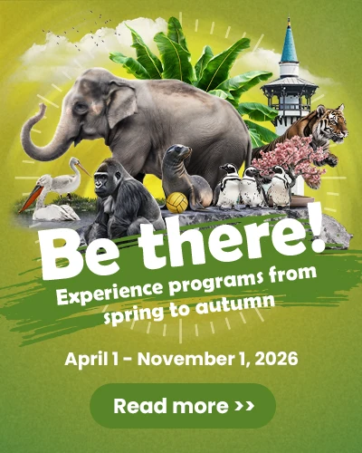Be there! Experience programs at the Zoo