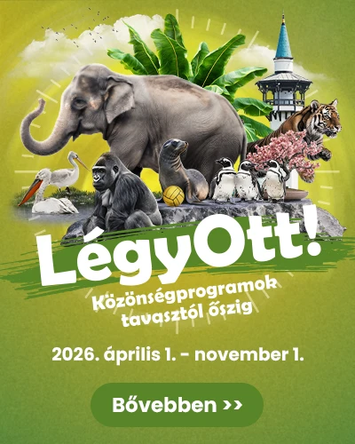 Légy Ott! Közönségprogramok 2026