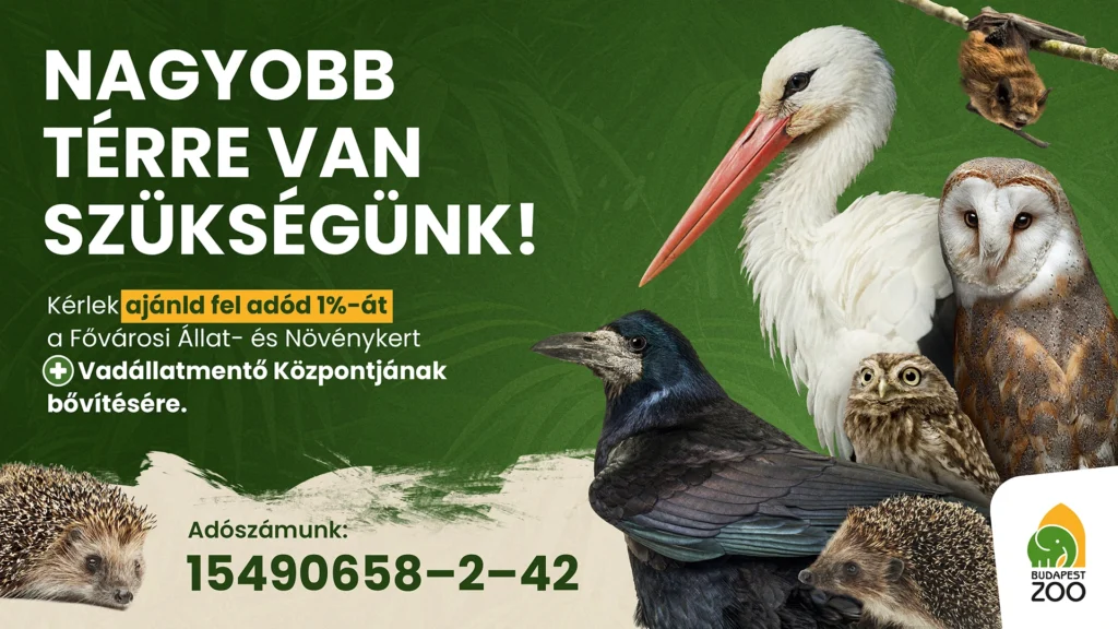 Kérjük ajánld fel adód 1%-át a Fővárosi Állat- és Növénykert Vadállatmentő Központjának bővítésére