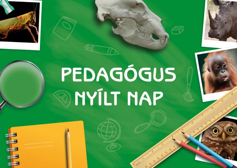 Pedagógus nyílt nap