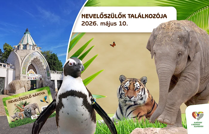 Nevelőszülők Találkozója 2026 tavasz