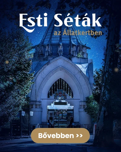 Esti Séták az Állatkertben banner - mobil