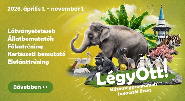 Légy Ott! Közönségprogramok 2026