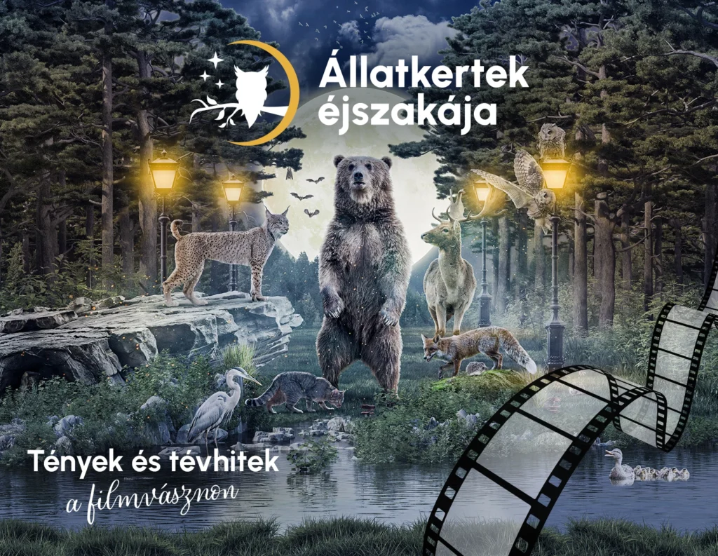 Állatkertek Éjszakája 2026